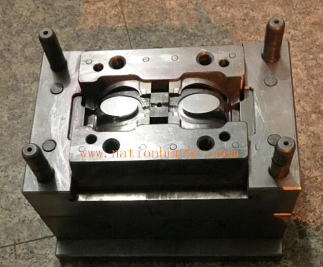 goggles mould